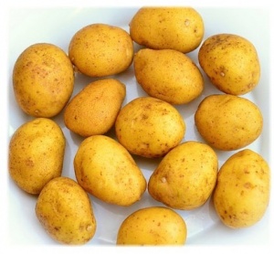 Patates1.jpg